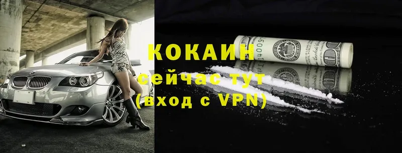 где купить   Заозёрск  Cocaine Эквадор 